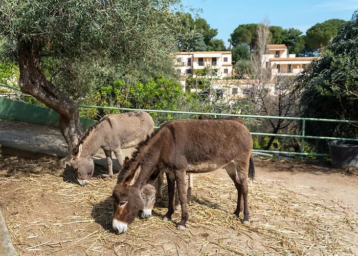 Seaside Pool Чефалу